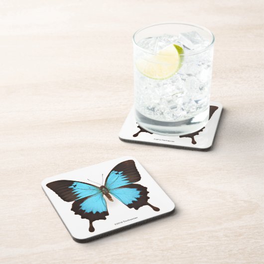 Ulysses-Schmetterling Getränkeuntersetzer (Rechte Seite)