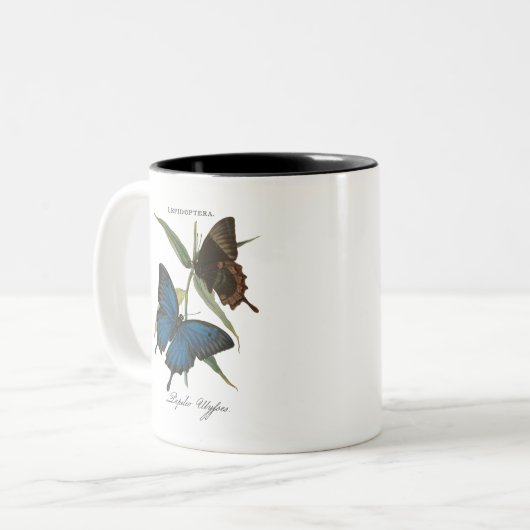 Ulysseschmetterling Zweifarbige Tasse (Vorderseite Links)