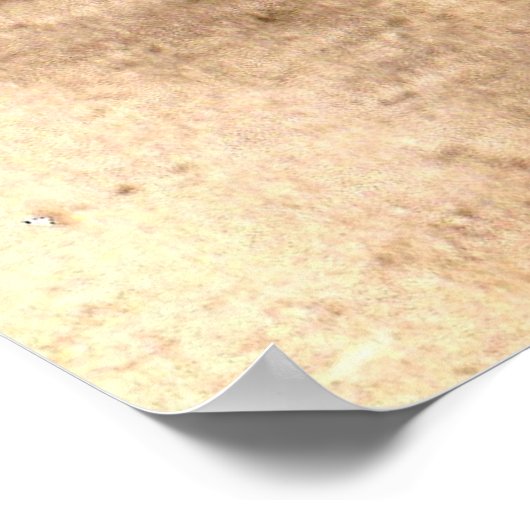 um 1920 bashful Harry Poster (Ecke)