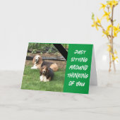 UM DIE HOFFNUNG ZU LADEN, DASS WIR EINEN GLÜCKLICH KARTE (Gelbe Blume)