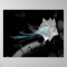 Um ein gebrochenes Herz zu heilen - Hübsches Foto  Poster