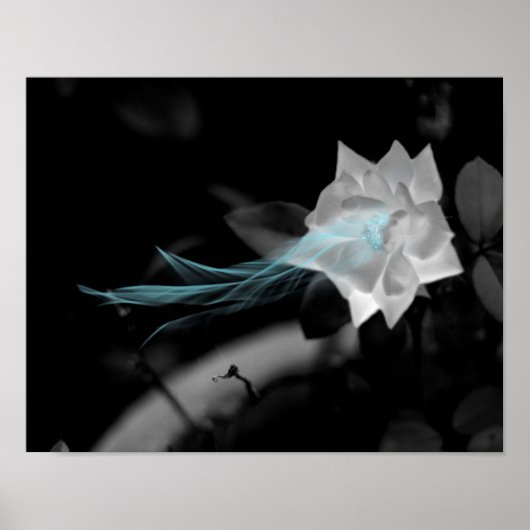 Um ein gebrochenes Herz zu heilen - Hübsches Foto  Poster (Vorne)