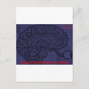 Um wie viel Uhr ist es? SCN GEFRAGT Postkarte