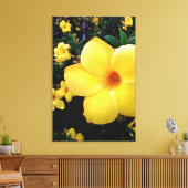 Uma alamanda leinwanddruck (Insitu (Wohnzimmer))