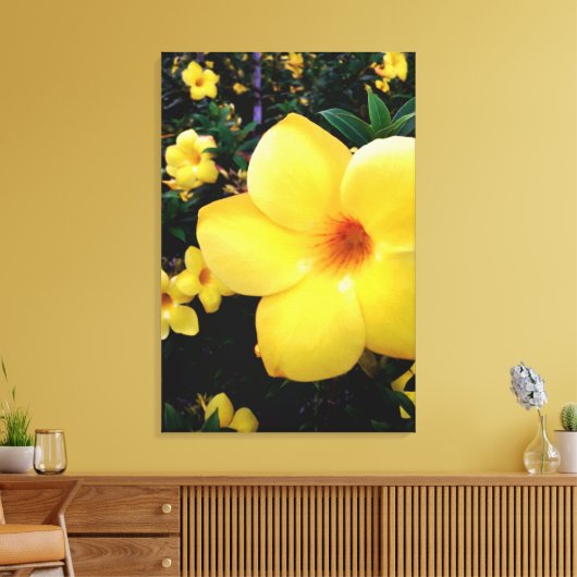 Uma alamanda leinwanddruck (Insitu (Wohnzimmer))