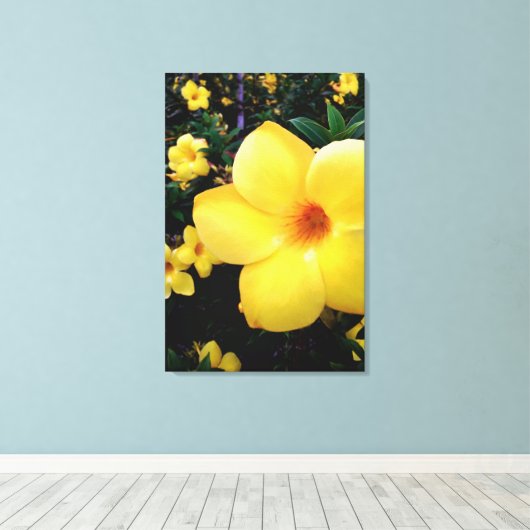 Uma alamanda leinwanddruck (Insitu (Holzboden))