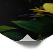 Uma alamanda poster (Ecke)