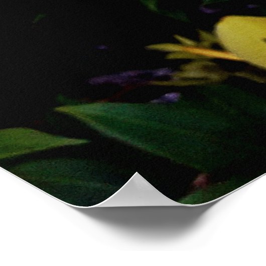 Uma alamanda poster (Ecke)