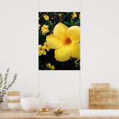 Uma alamanda poster (Küche)