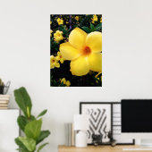 Uma alamanda poster (Heimbüro)