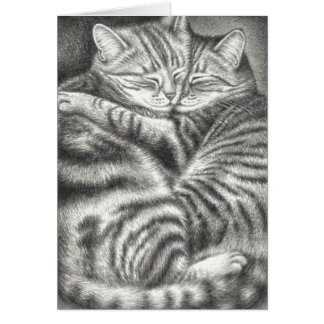 UMARMEN DER TABBY-KATZEN