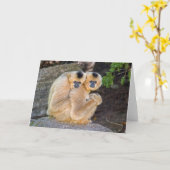 Umarmen lederfarbener Cheeked Gibbons Karte (Gelbe Blume)