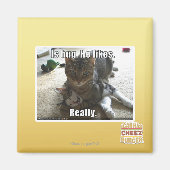 Umarmt. Er mag. Magnet (Vorne)