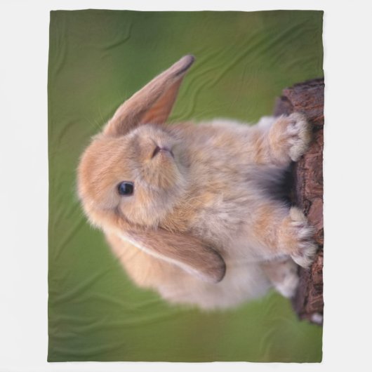 UMARMUNGS-HÄSCHEN FLEECEDECKE (Vorderseite)