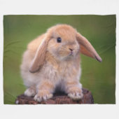 UMARMUNGS-HÄSCHEN FLEECEDECKE (Vorderseite (Horizontal))