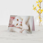 Umarmungs-Miezekatze-Grußkarte Karte (Gelbe Blume)