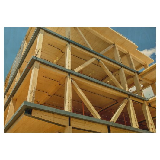 UMass Olver Entwurfs-Gebäude Holzposter (Vorderseite)