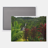 Umauma Falls, Hawaii-Magnet Magnet (Vorderseite/Rückseite)