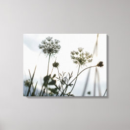 Umbels Blume Kontur - Blumenfotografie Leinwanddruck