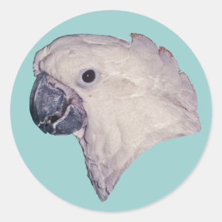 Umbrella Cockatoo Runder Aufkleber