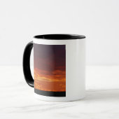 Umbrella Thorn Acacia, Acacia tortilis, 2 Tasse (Vorderseite Links)