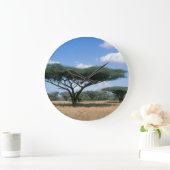 Umbrella Thorn Acacia (Acacia tortilis), Mkuze Große Wanduhr (Zuhause)