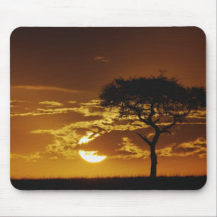 Umbrella Thorn Acacia, Acacia tortilis, Mousepad