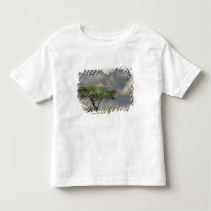 Umbrella Thorn Acacia, Acacia tortilis und 2 Kleinkind T-shirt