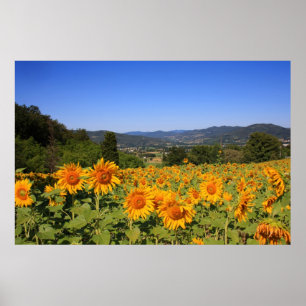 Umbrian Countryside - Italy Print Poster