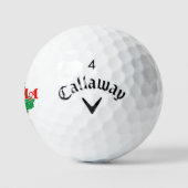 Umbrien Golfball (Logo)