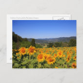 Umbrien Landschaft Postkarte (Vorne/Hinten)