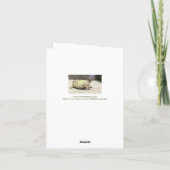 UMFASSENDE UNFÄLLIGE KARTE/UMSCHALTFLÄCHE NACH UNT KARTE (Rückseite)