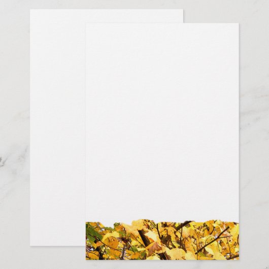 UMGEBUNGSSTEUERN BRIEFPAPIER (Vorne/Hinten)