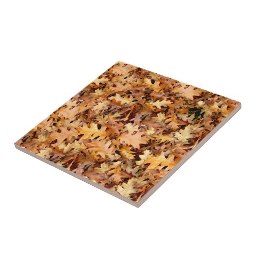 UMGEBUNGSSTEUERN FLIESE (Seite)