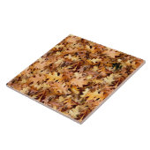 UMGEBUNGSSTEUERN FLIESE (Seite)