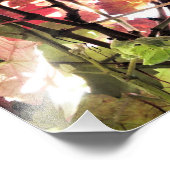 UMGEBUNGSSTEUERN FOTODRUCK (Ecke)