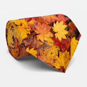 UMGEBUNGSSTEUERN KRAWATTE (Gerollt)