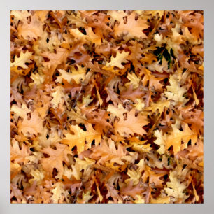 UMGEBUNGSSTEUERN POSTER