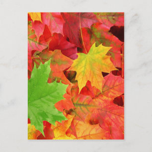 UMGEBUNGSSTEUERN POSTKARTE