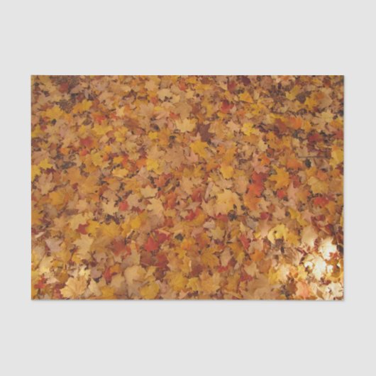 UMGEBUNGSSTEUERN SEIDENPAPIER (Vorderseite)