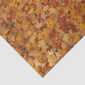 UMGEBUNGSSTEUERN SEIDENPAPIER (Ausschnitt)