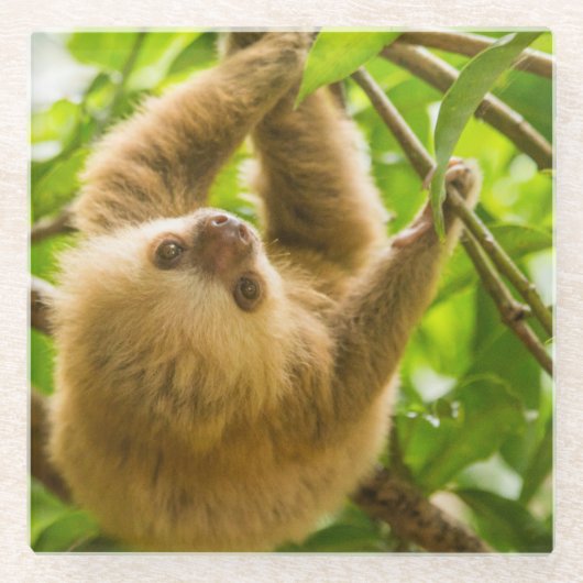 Umgedrehte Trägheit Getty Bild-| Glasuntersetzer (Vorderseite)