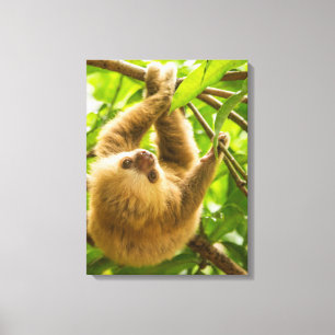 Umgedrehte Trägheit Getty Bild-  Leinwanddruck