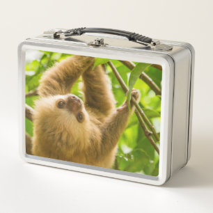 Umgedrehte Trägheit Getty Bild-  Metall Lunch Box