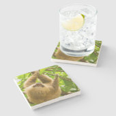 Umgedrehte Trägheit Getty Bild-| Steinuntersetzer (Seitenansicht)