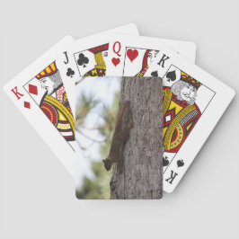 Umgedrehtes Eichhörnchen Spielkarten