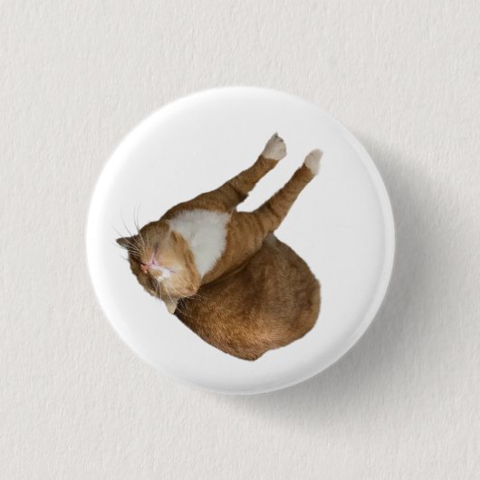 Umgedrehtes-Sonnenschein-Katze Button (Vorderseite)