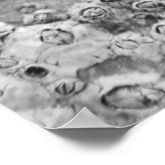 umgegeben poster (Ecke)