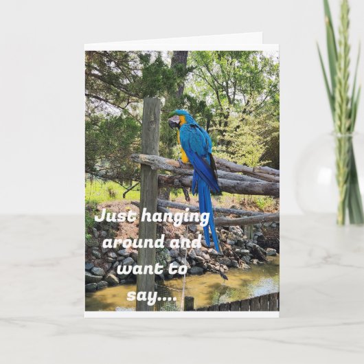 UMGEHEND UND WOLL, GLÜCKLICHEN GEBURTSTAG ZU SAGEN KARTE (Vorderseite)