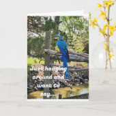 UMGEHEND UND WOLL, GLÜCKLICHEN GEBURTSTAG ZU SAGEN KARTE (Gelbe Blume)